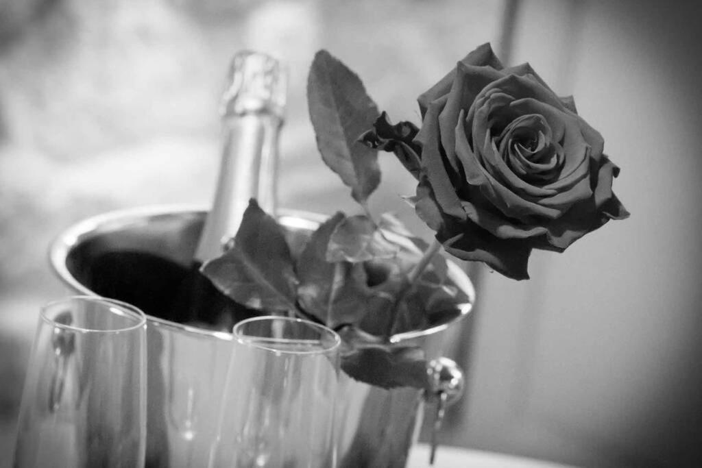 Gite Love Dream - Le Gite Romantique Ger  Exterior photo
